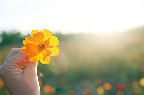 什么是低代码？2000字低代码超全解读！